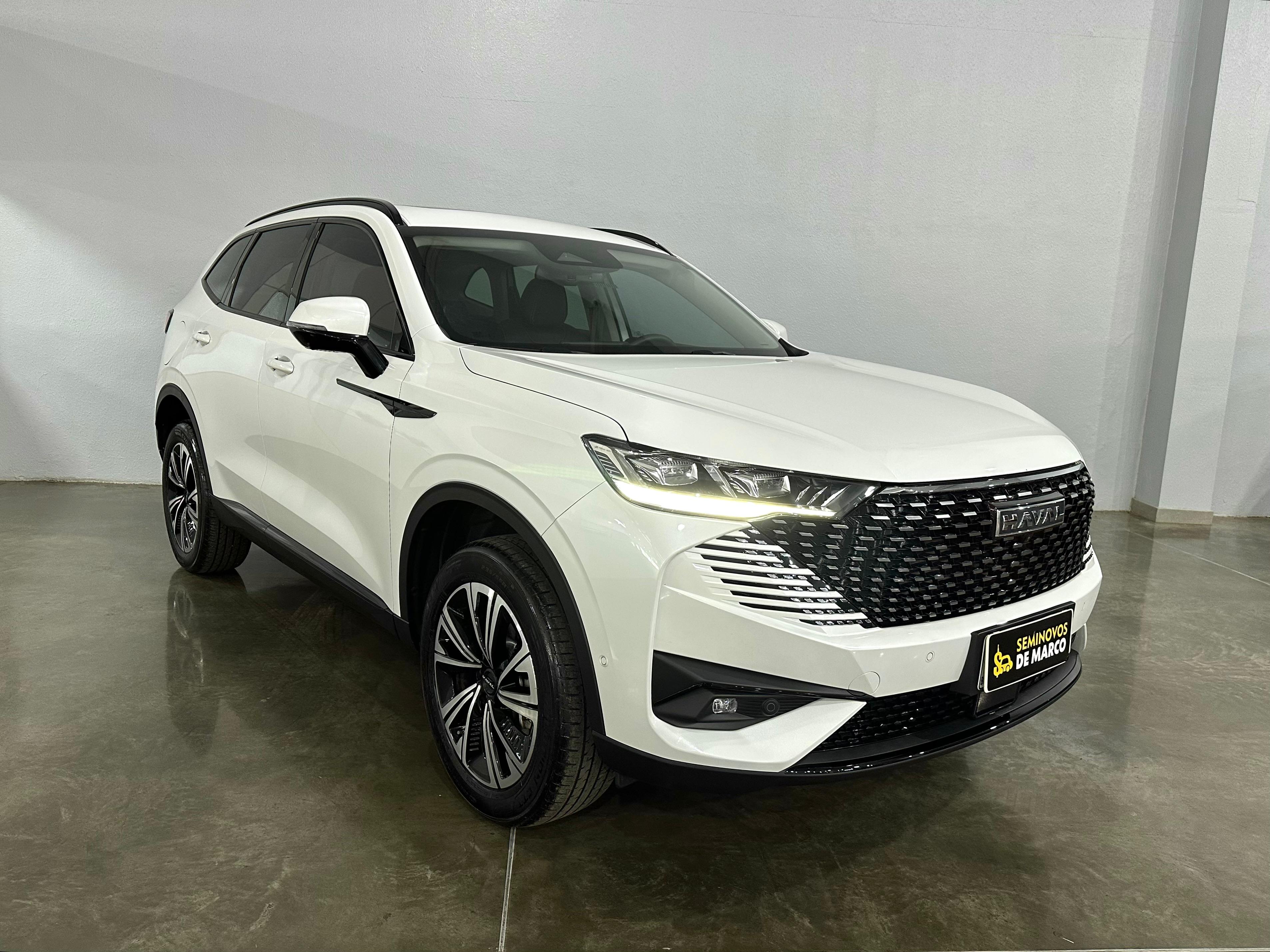 HAVAL H6 PHEV19